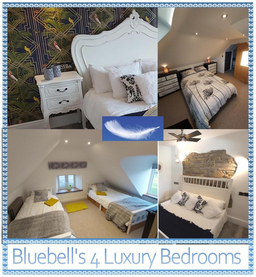 Bluebell House 5 Star Holiday Let Vila Somerton  Exterior foto